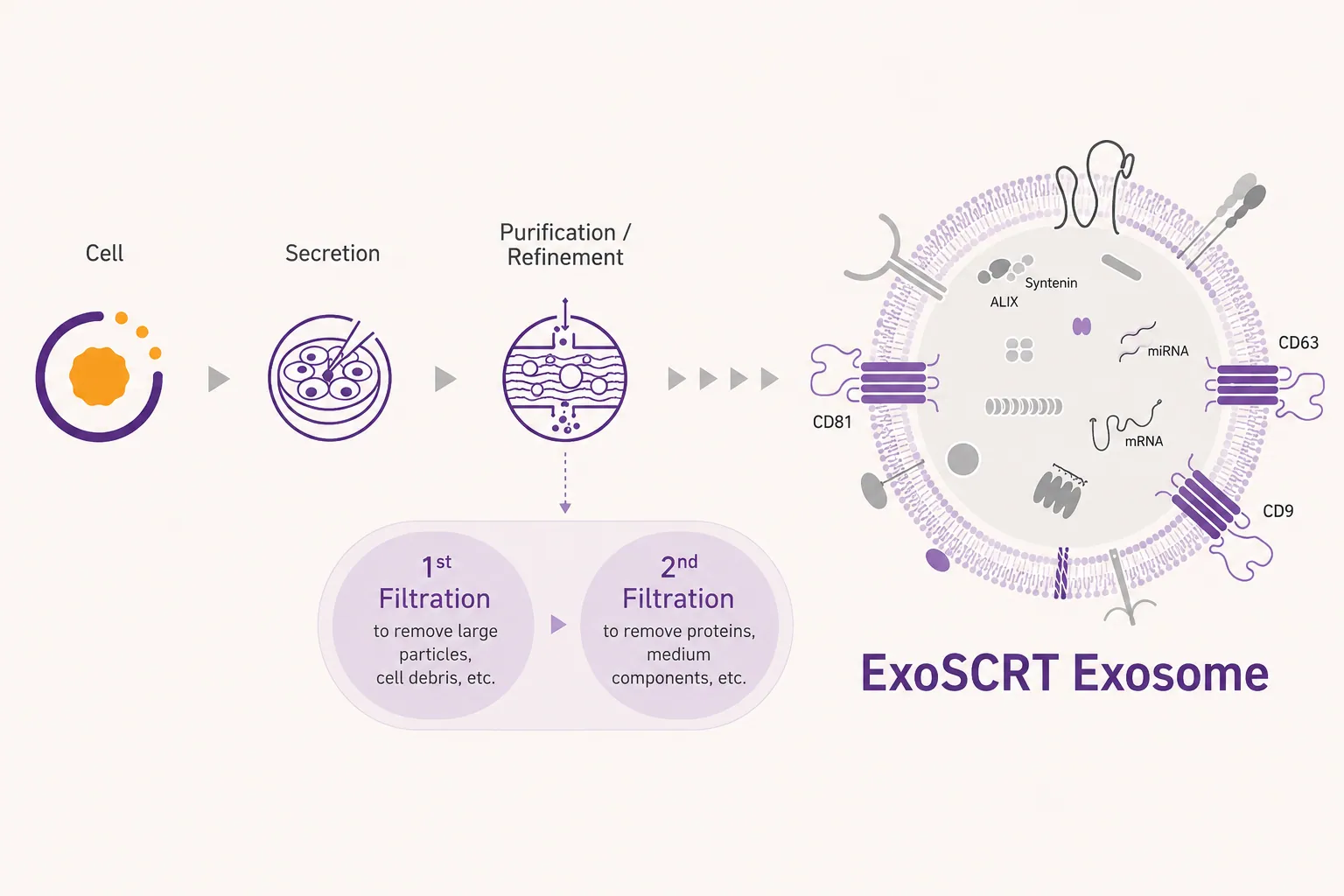 تقنية تنقية ExoSCRT